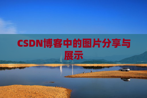 CSDN博客中的图片分享与展示
